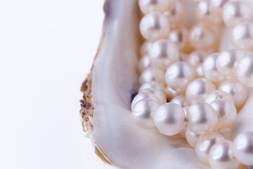 pearl beads on an oyster shell