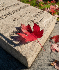 Vancouver BC, Canada - Nov 11,2022 - A Canadian soldiers grave is seen on a sunny morning on...