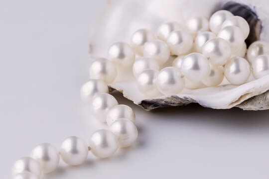 pearl beads on an oyster shell