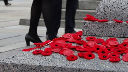 People put poppy flowers on Tomb of the Unknown Soldier in Ottawa, Canada on Remembrance Day.