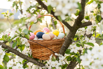 Close up of colorful Easter eggs in a basket