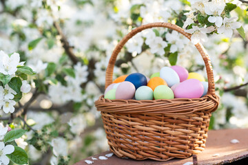 Fototapeta na wymiar Happy Easter. Basket with Easter eggs in grass on a sunny spring day - Easter decoration, banner, panorama, background with copy space for text