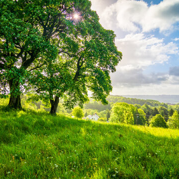 View of house from Sandy Linn, Lochwinnoch, Renfrewshire, Scotland, UK