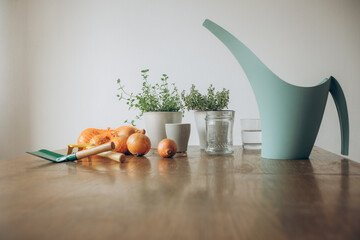 Gardening tools and soil in the bowl on the table. Potting plants at home. Indoor garden, house plants. Hobby, still life with plants