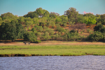 Jeep driving in wide safari landscape