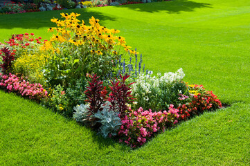 A bright flowerbed on the green lawn.