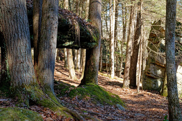 Boulders at Lilly Bluff trail in Tennessee