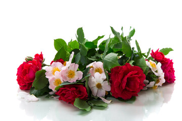 big bouquet of beautiful red and pink roses on white background