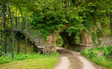 Fototapeta premium Steps up to the disused incline of the Mineral Railway at Combeberow in the Brendon Hills, Somerset
