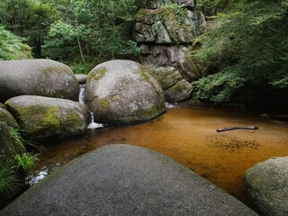 Stream with huge boulders surrounded by lush greenery, Huelgoat forest. Brittany, France