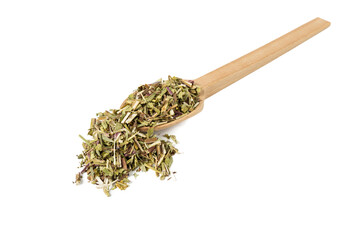 Catnip herb in latin - Nepeta cataria on wooden spoon isolated on white background. Medicinal herb.