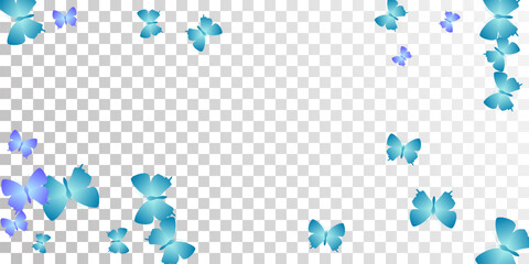 Fairy blue butterflies abstract vector illustration. Spring pretty moths. Detailed butterflies abstract dreamy background. Gentle wings insects patten. Garden beings.
