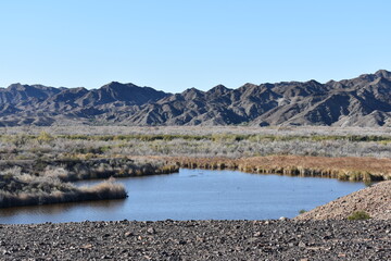 Imperial Wildlife Refuge Colorado River and Mountains 