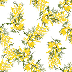 Obraz premium seamless pattern mimosa branches