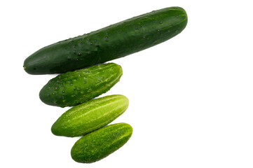 Fresh organic cucumbers of various sizes on a white background. The concept of eco products, agriculture.