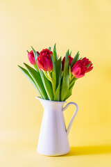 Beautiful pink tulips in white vase on light yellow background close up. Mother’s Day greeting card concept. Spring holidays card.