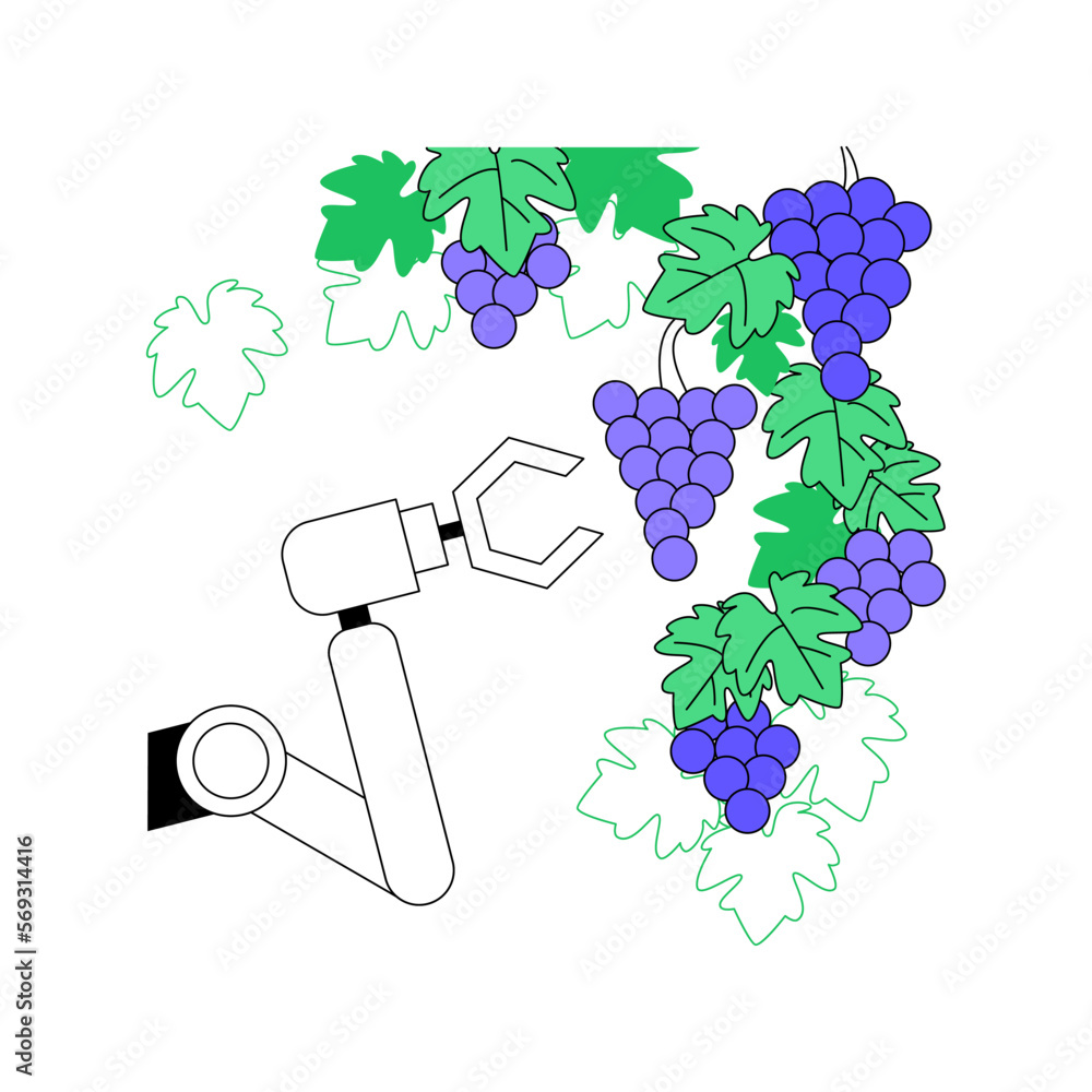 Poster harvesting and picking robots isolated cartoon vector illustrations. robot picking grapes, smart agr