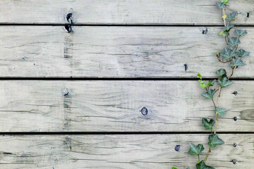 木目背景とグリーン