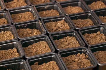 Plastic pots with fertile soil for planting seeds and seedlings