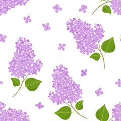 Lilac flowers seamless pattern. Floral spring background with blooming purple lilac branches on white. Vector botanical cartoon illustration.