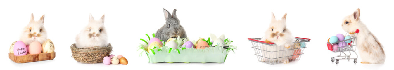 Set of cute rabbits and Easter eggs on white background