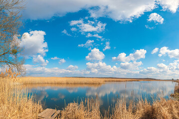 The wooden bridge, Yellow brushwood, and reeds near the blue water of the lake under a blue sky with clouds, Huyva river in Andrushivka, Ukraine