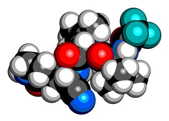 Nirmatrelvir (PF-07321332) antiviral drug molecule. 3D rendering.