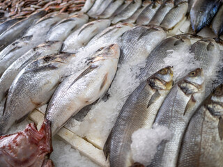 Close-up of fresh raw fish in ice on counter in grocery store.