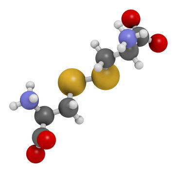 Cystine molecule. Oxidized dimer of the amino acid cysteine. 3D rendering.