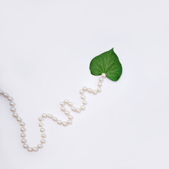 Heart shape fresh green Ivy leaf and pearl beads, creative love inspired layout, white background. 