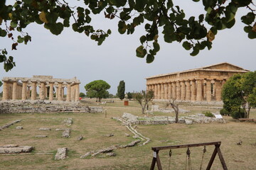 View to Temple of Hera and Temple of Poseidon in Paestum, Campania Italy