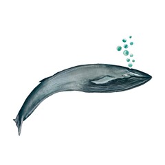 Whale blue bubbles ocean a watercolor illustration