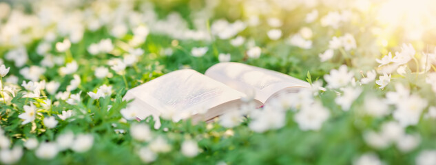 Open book lying on the blossoming field in natural park.