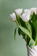Fresh spring tulips bouquet in a vase, white beautiful color