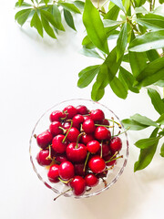 Red Cherries in a Bowl