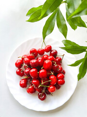 Red Cherries in a Plate
