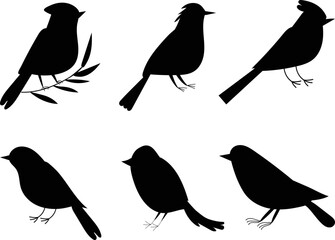 birds set silhouette isolated, vector