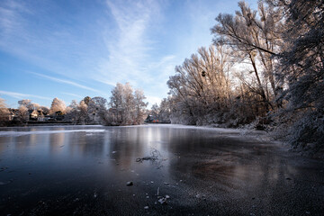 landscape with frozen lake and trees