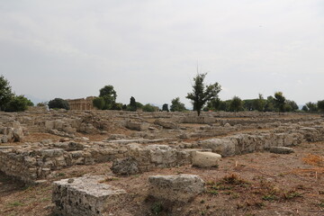 Fototapeta na wymiar Ruins of Paestum, Campania Italy