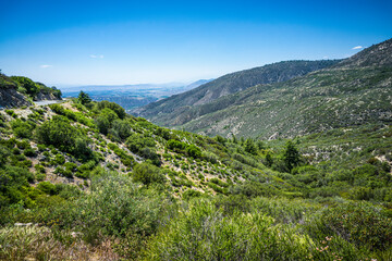 Canyon Road in California Mountains