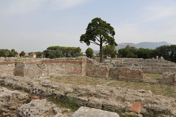 Ruins of Paestum, Campania Italy © ClaraNila
