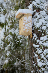 Ośnieżone budki lęgowe zimą. Las, gniazdo, ptaki, pisklęta. © Tomasz