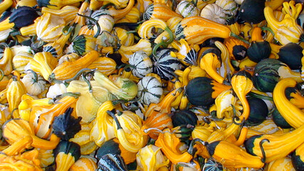 Display of green and yellow squashes in a Greek market
