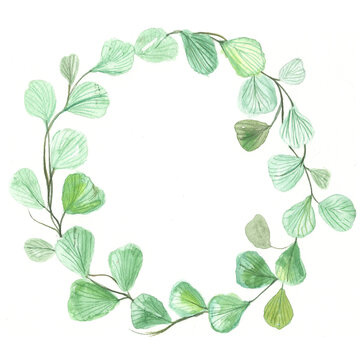 Watercolor wreath of branches of ginkgo leaf. Hand painted vintage frame with branches isolated on white background. Traditional evergreen frame. Christmas green wreath