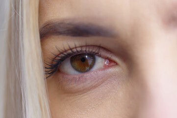 Zbliżenie na oko i źrenice u kobiety blond. Zdjęcie naturalne bez retuszu. - obrazy, fototapety, plakaty