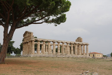 Tempio di Atena in Paestum, Campania Italy © ClaraNila