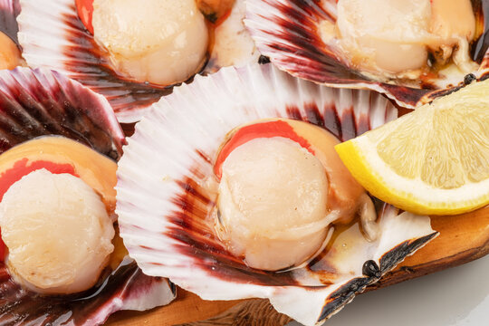 Group of fresh opened scallop with scallop roe or coral close up.