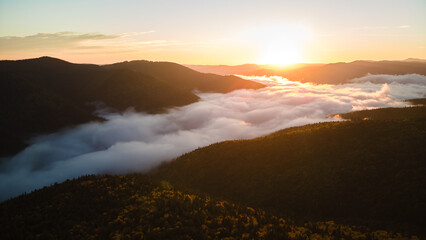Aerial view of bright foggy morning over dark mountain forest trees at autumn sunrise. Beautiful scenery of wild woodland at dawn