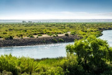 Colorado River in Blythe, California
