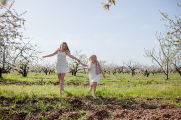 Mother with little child wakks in the park with blossom flowers in the trees. Woman and daughter enjoy the spring garhden. People dressed white sundresses